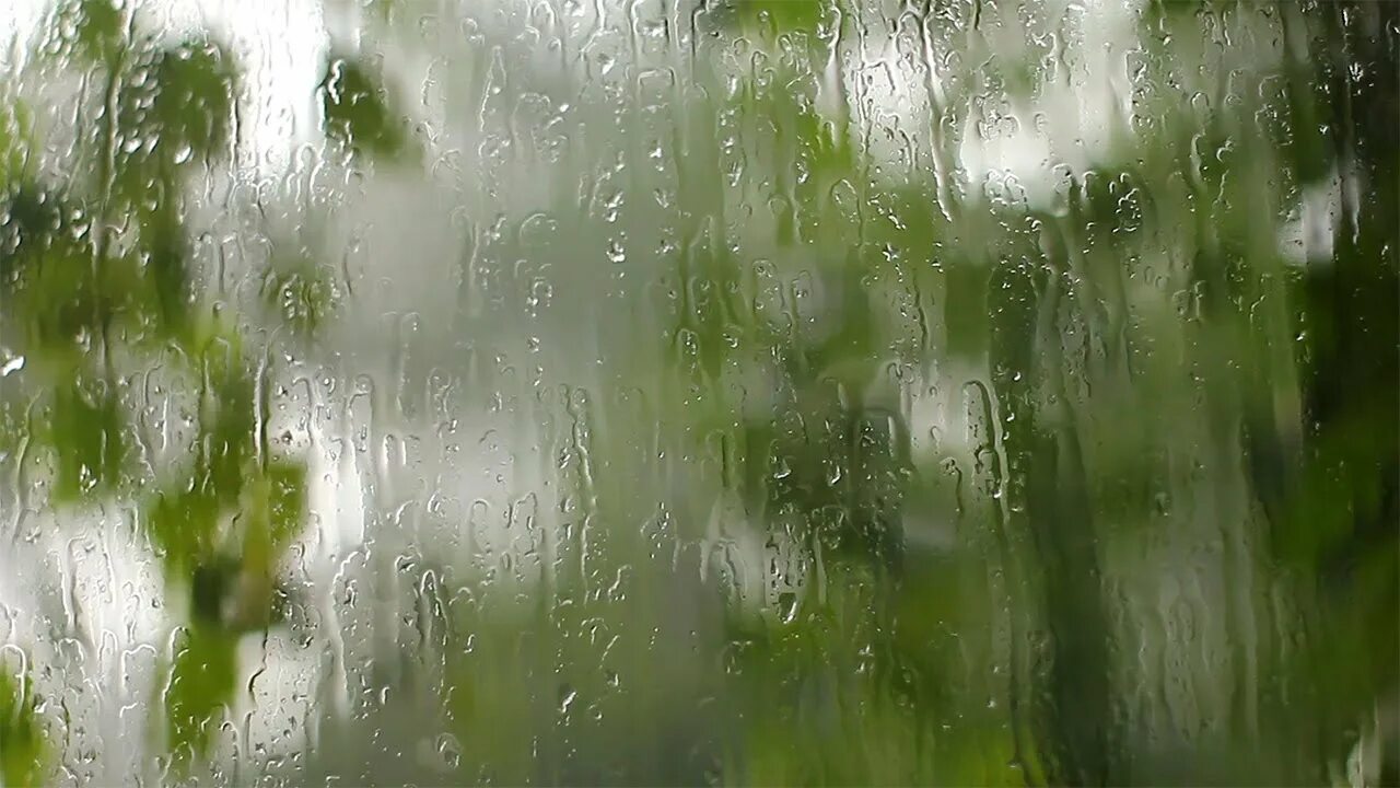 Rain hits. Окно за которым дождь без фона. Дерево релакс на дождь. Красивая картинка на экран блокировки дождь а лесу. Rain on the Wind Macken.