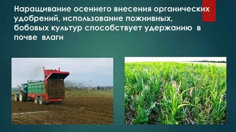 Сроки внесения осенних удобрений
