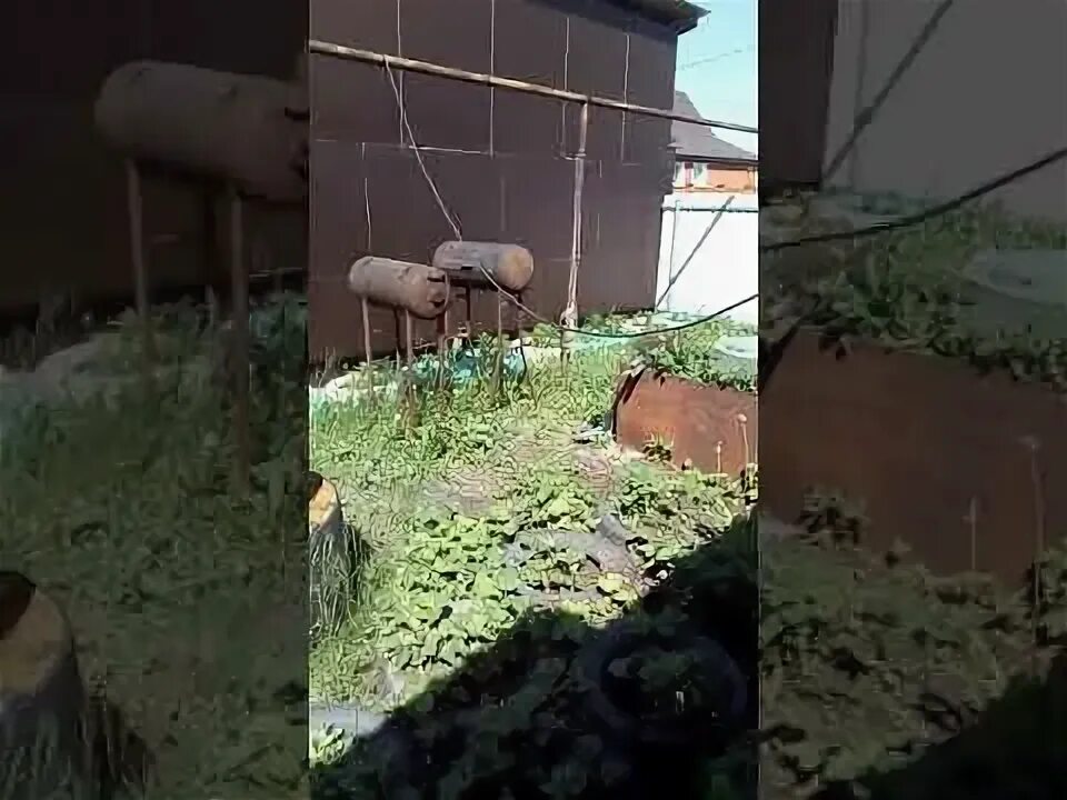 Полевая 8а. Полевая 8а