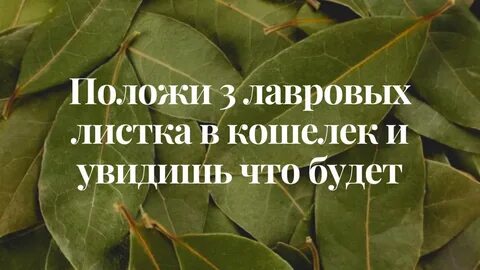 Ритуал с лавровым листом на деньги
