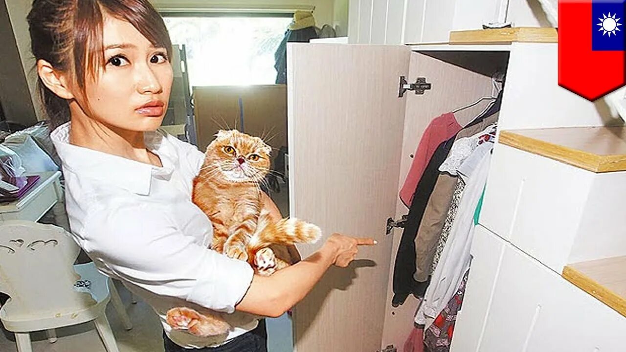 Cat ruby. Кот спас хозяйку от грабителей. жена парикмахера кот. ruby cat tomonews. кот охио.
