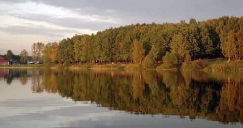 Московская обл медвежьи озера
