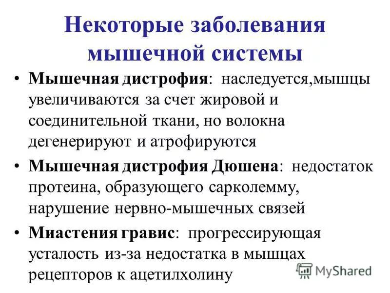 Заболевания мышечной ткани. Заболевания мышечной системы. Заболевания мышечной системы список. Патология мышечной системы. Профилактика болезней костно-мышечной системы.