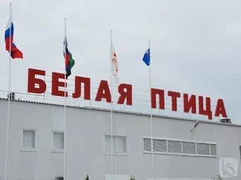 Заводы белоруссии. Заводы рб. Завод белорус. Завод geely в белоруссии. Бмз жлобин.