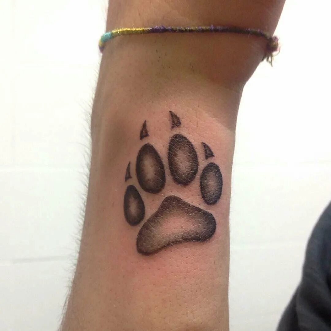 Отпечаток волчьей лапы. Кошачья лапка эскиз. Отпечаток лапы тигра. Кошачья лапа тату эскиз. Тату лапки.