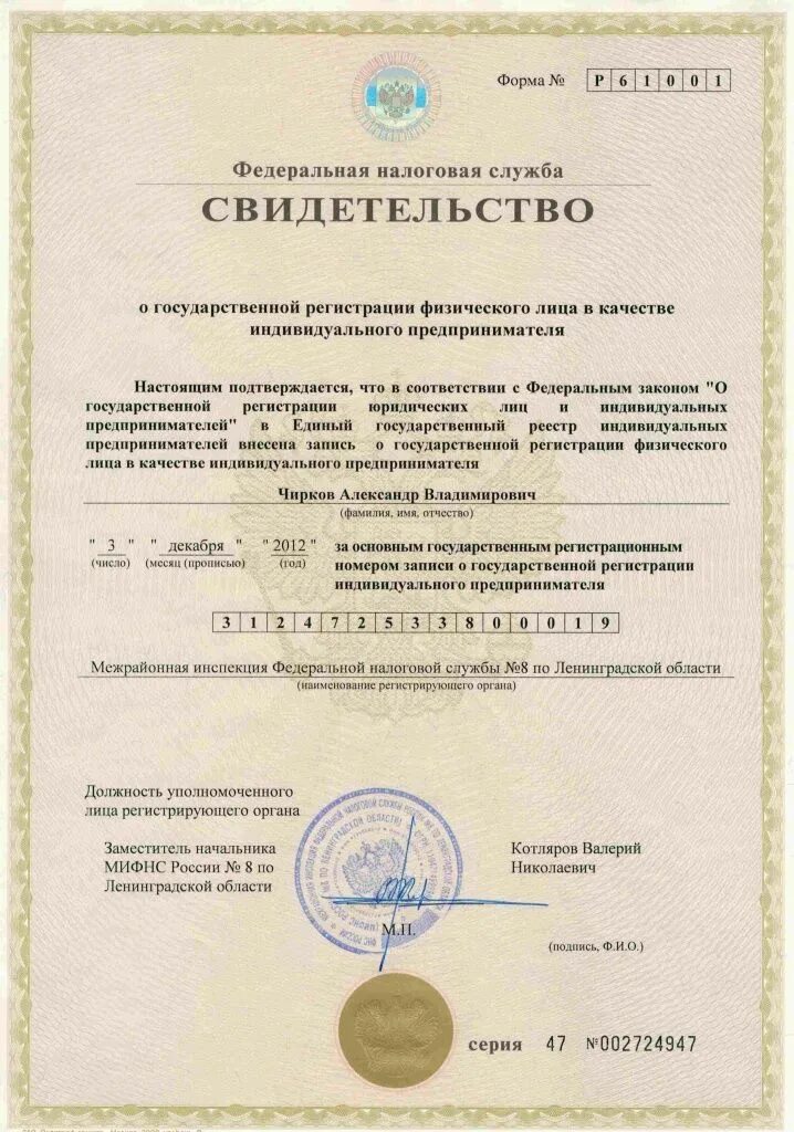 Регистрация физ лица в качестве индивидуального предпринимателя. Регистрация физ лица в качестве индивидуального предпринимателя