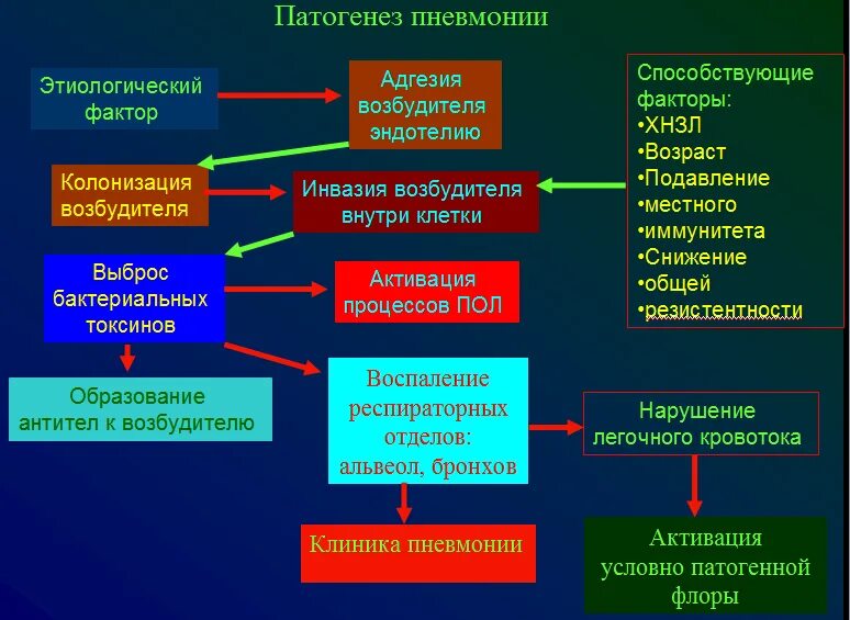 Патогенез внегоспитальной пневмонии. Патогенез внебольничной пневмонии схема. Пневмония: клинические симптомы и их патогенез.. Механизм развития острой пневмонии. Общая этиология общий патогенез