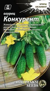 Описания огурцов сорта конкурент