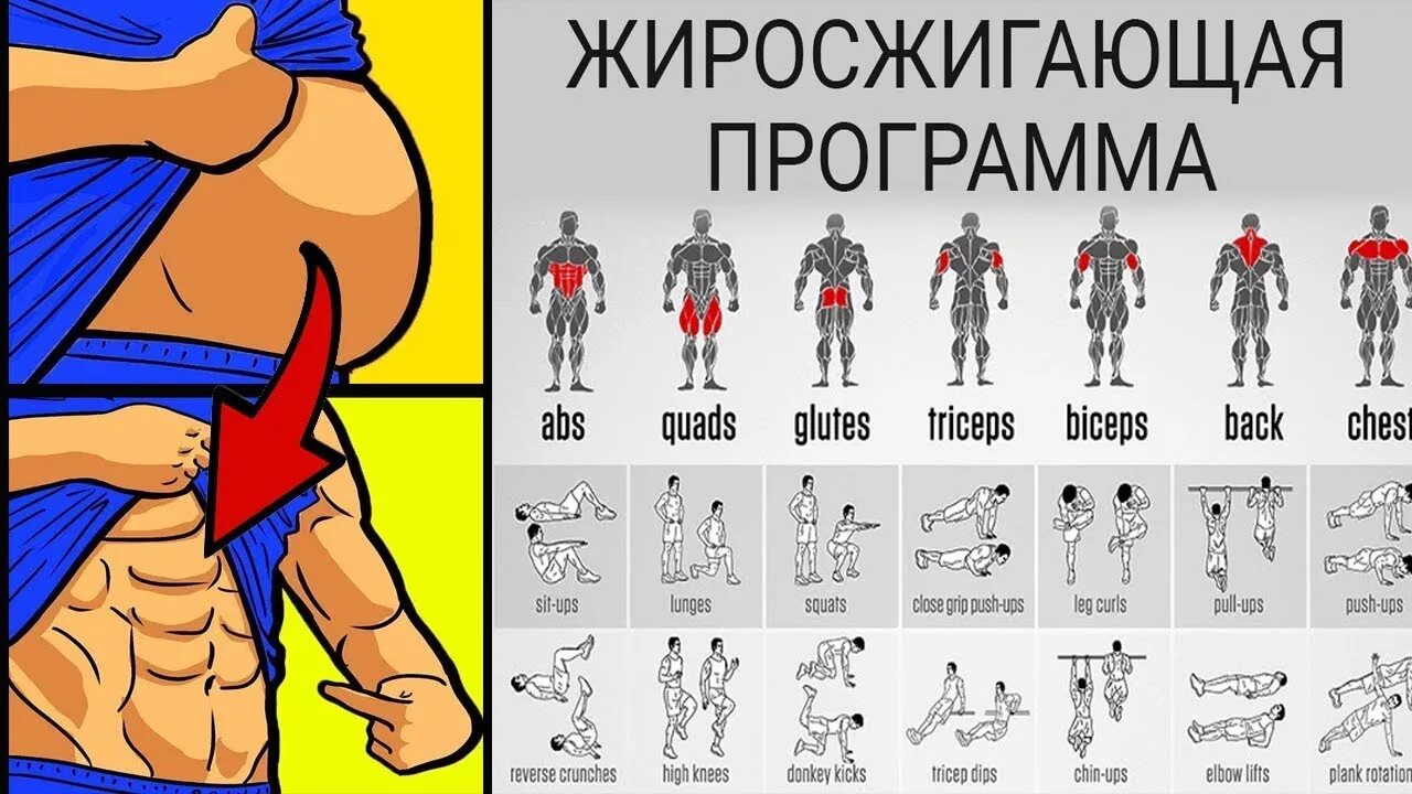 Расписание тренировки набора массы