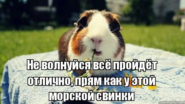 открытка не нервничай. любимая хватит. не нервничай картинки. не нервничай любимый. картинки не психуй любимый.