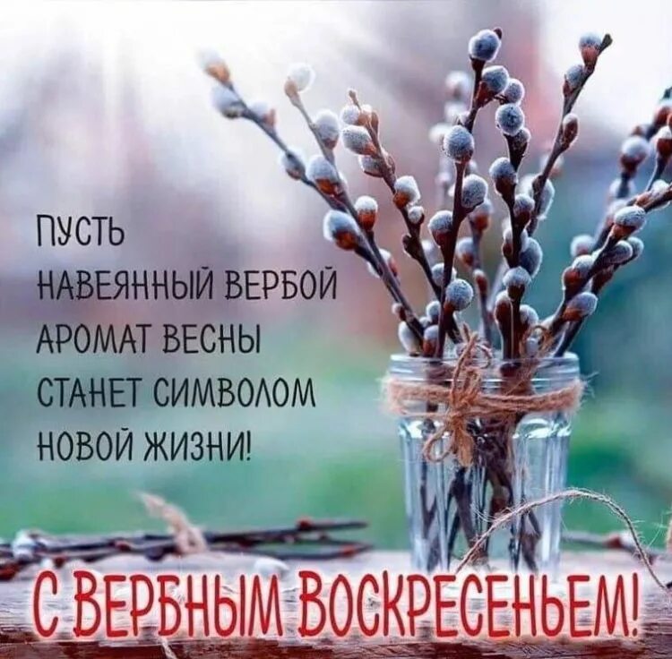 Можно отдавать долг в вербное воскресенье. Вербное воскресенье поздравления. с вербным воскресеньем открытки. поздравления с верным воскрением. поздраален я с анрбныи воскресенье.