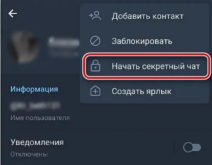 Телеграмм как отправить самоуничтожающееся фото андроид. Самоуничтожающиеся фото в телеграмме. как в телеграм отправить самоуничтожающееся фото. как отправить самоуничтожающееся фото в телеграмме.