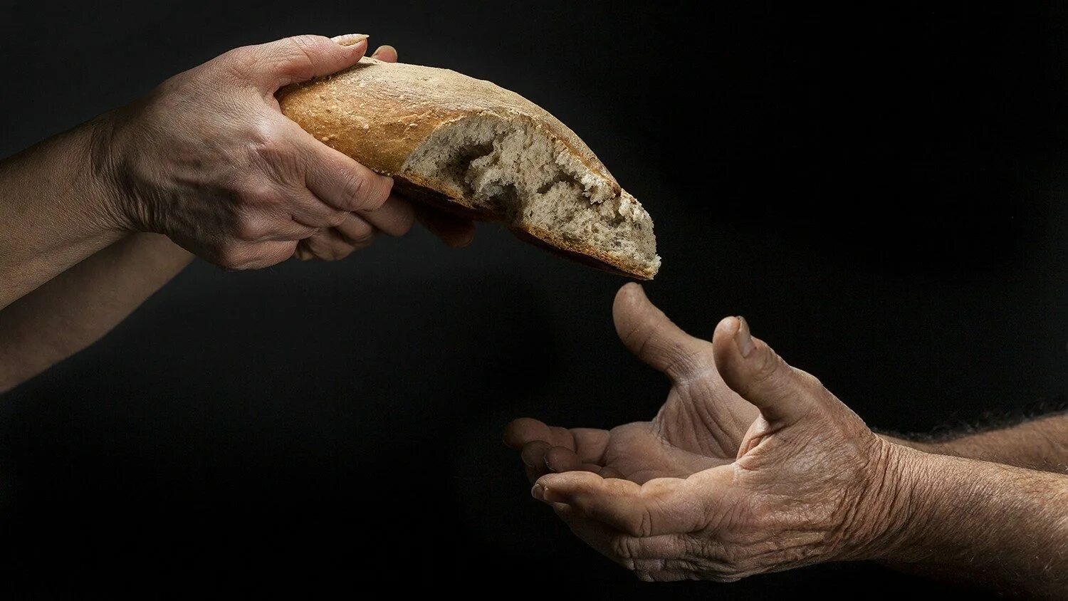 Голод золотой. Хлеб в руках. Делиться хлебом. Человек с хлебом в руках. Хлеб для бедных.
