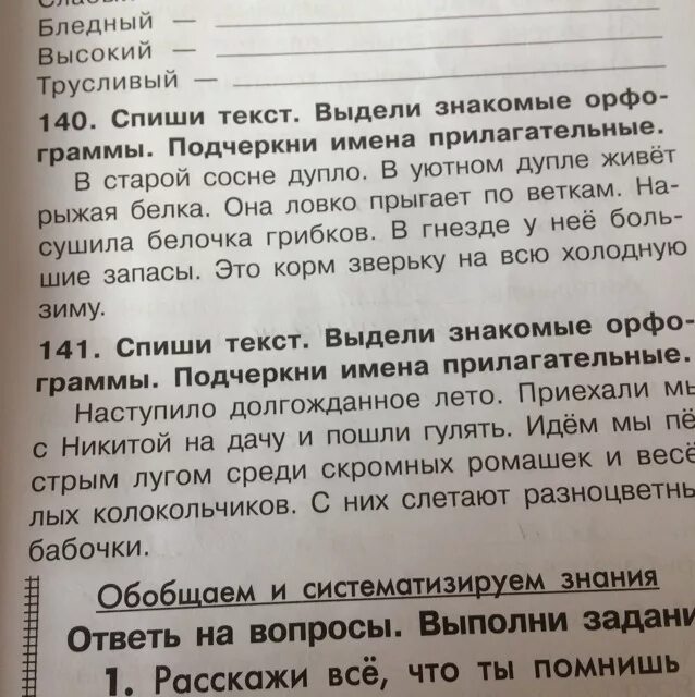 У старой сосны что хотел сказать автор. Текст у старой сосны. Тип текста у старой сосны. Главная мысль текста у старой сосны. У старой сосны план текста.