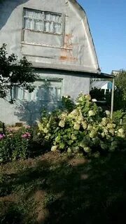 Сады огороды в нефтекамске на авито