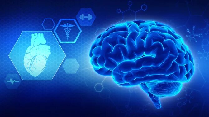 Здоровье мозга. Фон здоровье мозг. Мозг здоровье для слайда. Brain stimulation игра. Good brain
