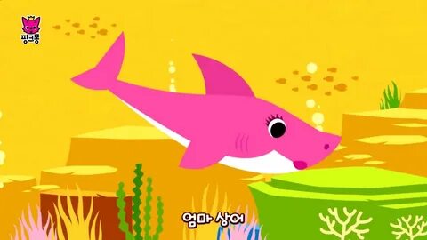 Pinkfong акуленок текст песни
