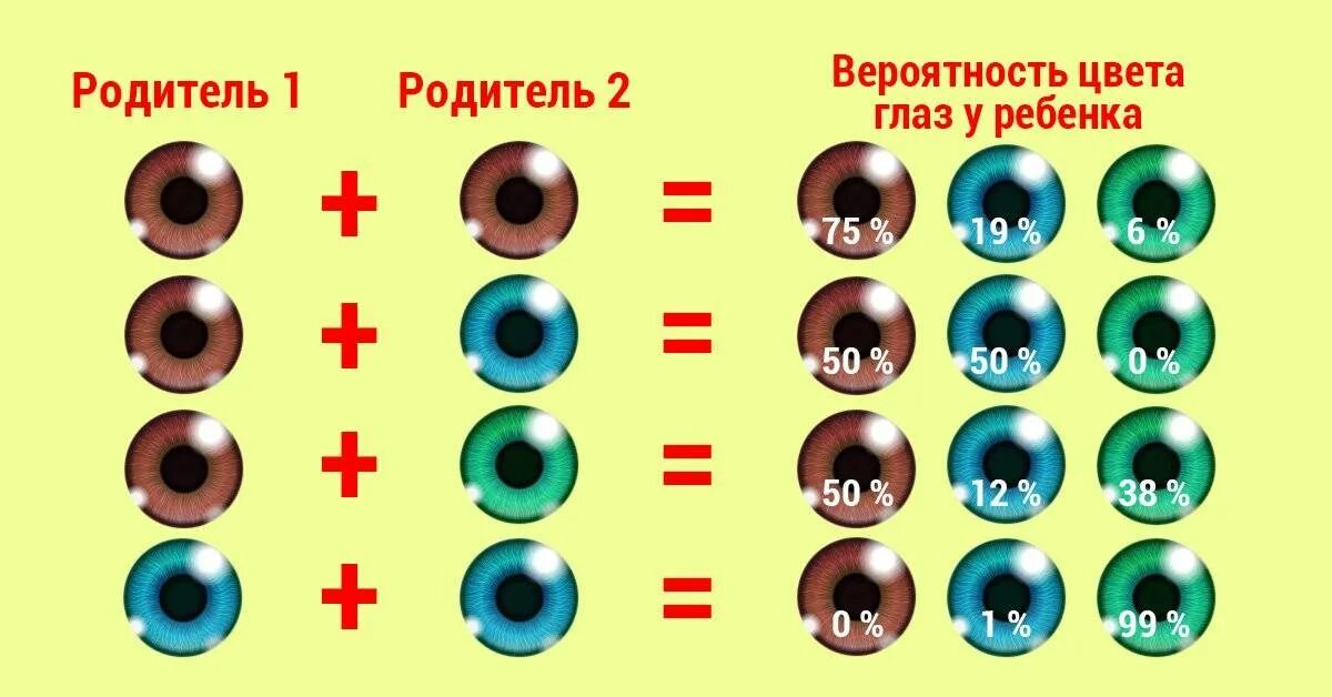 Папа карие глаза мама зеленые. Генетика цвет глаз наследование таблица. Генетическое наследование цвета глаз. Генетика карие и голубые глаза. Какого цвета будут глаза.