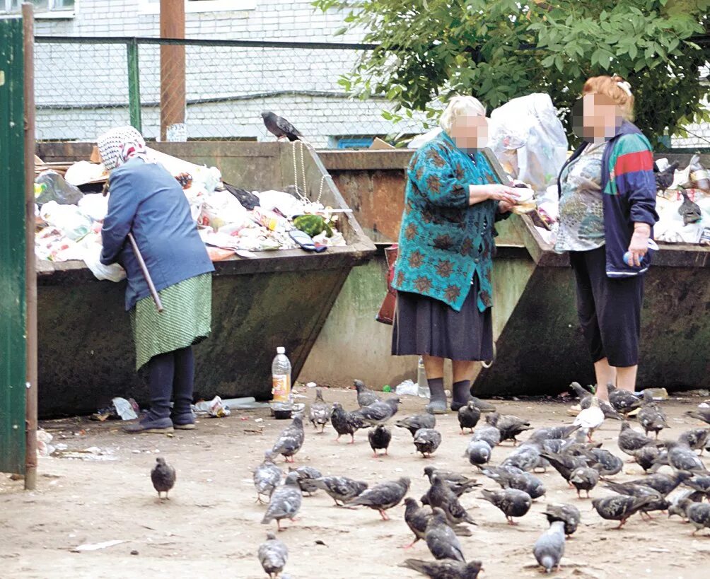 Пенсионеры и народ в мусорных баках. Пенсионеры помойка. Пенсионеры помойка. Пенсионеры помойка. Пенсионеры помойка.