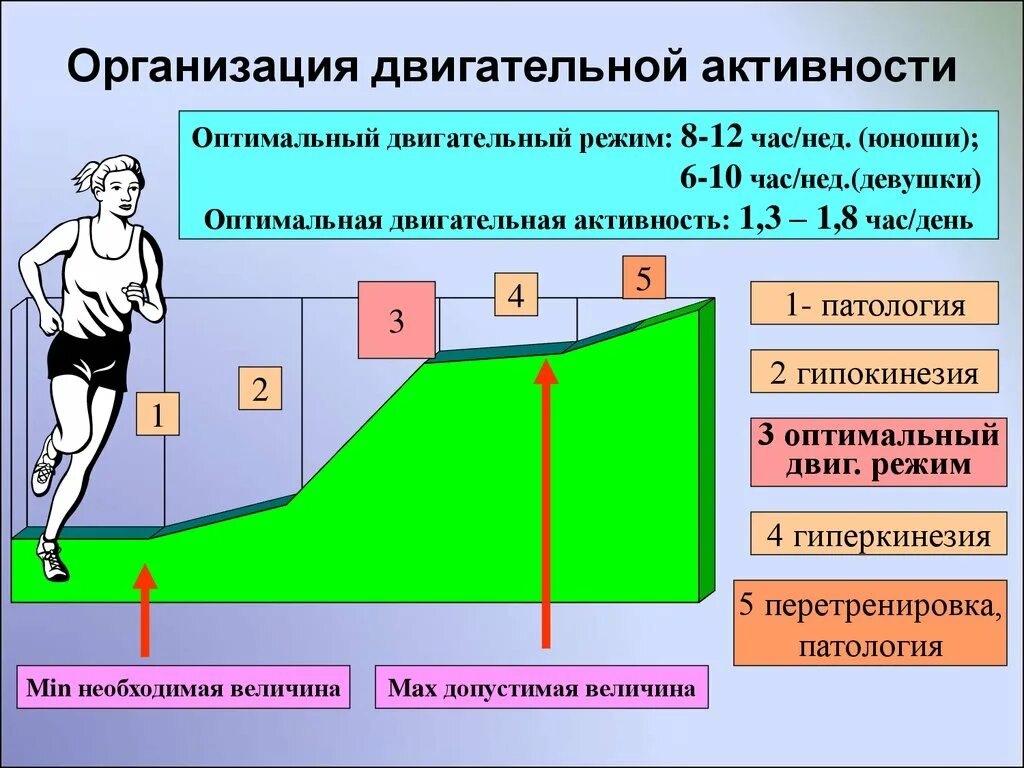 Активностью в течение недели. Двигательный режим. Оптимальный режим двигательной активности. Основы организации двигательного режима. График двигательной активности.