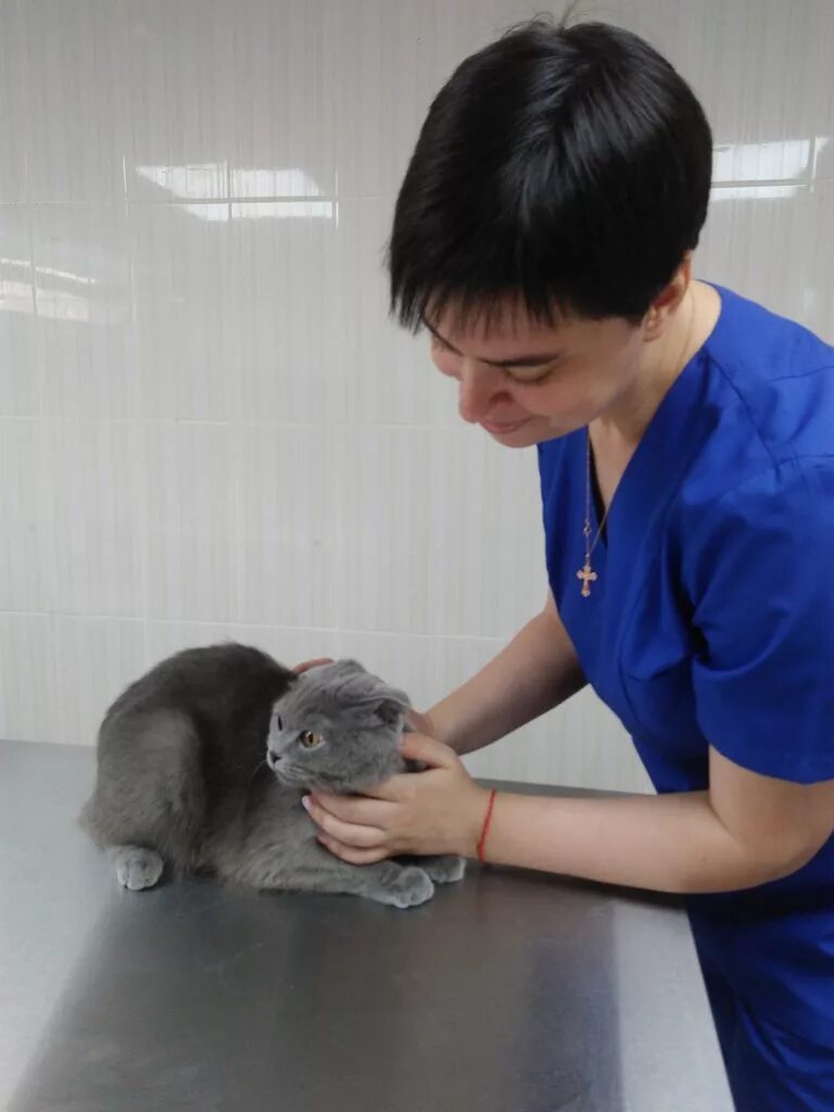 ветклиника ставрополь телефон