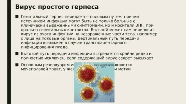 Вирус простого герпеса ЗППП. ЗППП генитальный герпес. Может ли передаться вирус герпеса половым путем. Вирусы передаваемые половым путем.