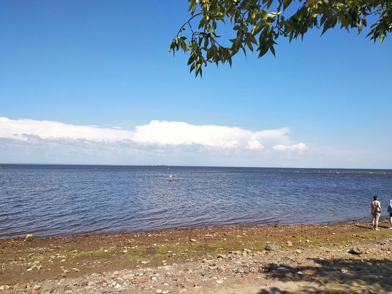 Пляж в кронштадте. Кронштадтский пляж, кронштадт. остров котлин кронштадт пляж. заказник котлин кронштадт. западный котлин кронштадт пляж.