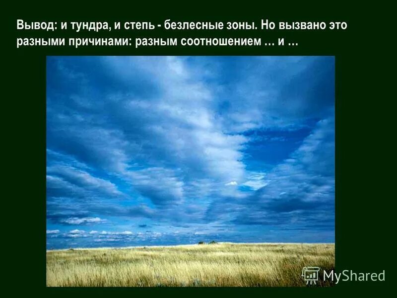 Сходства и различия между степью и тундрой. Вывод тундры и степи. Вывод по степи. Зона степей вывод. Сравнение тундры и степи вывод.