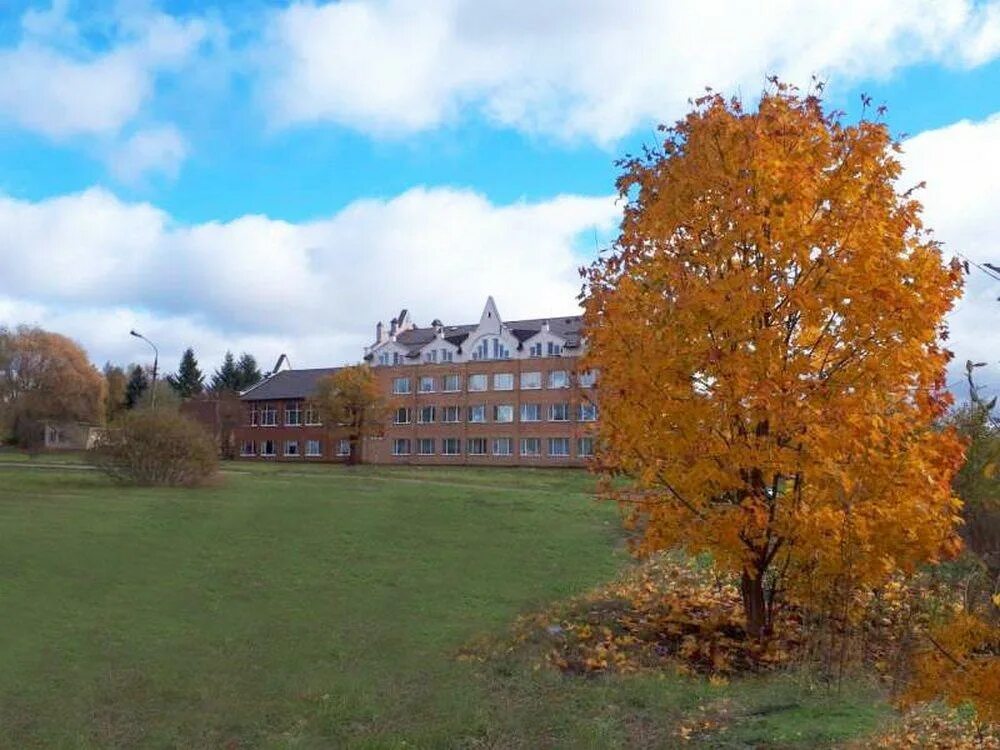 Гимназия летово. Ломоносовская школа-пансион в чулково. Частные школы с проживанием. Школа пансион москва. Школы пансионы в россии.