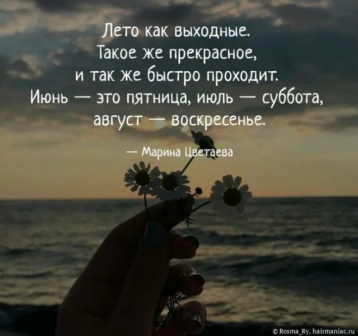 Цитата последнего дня года