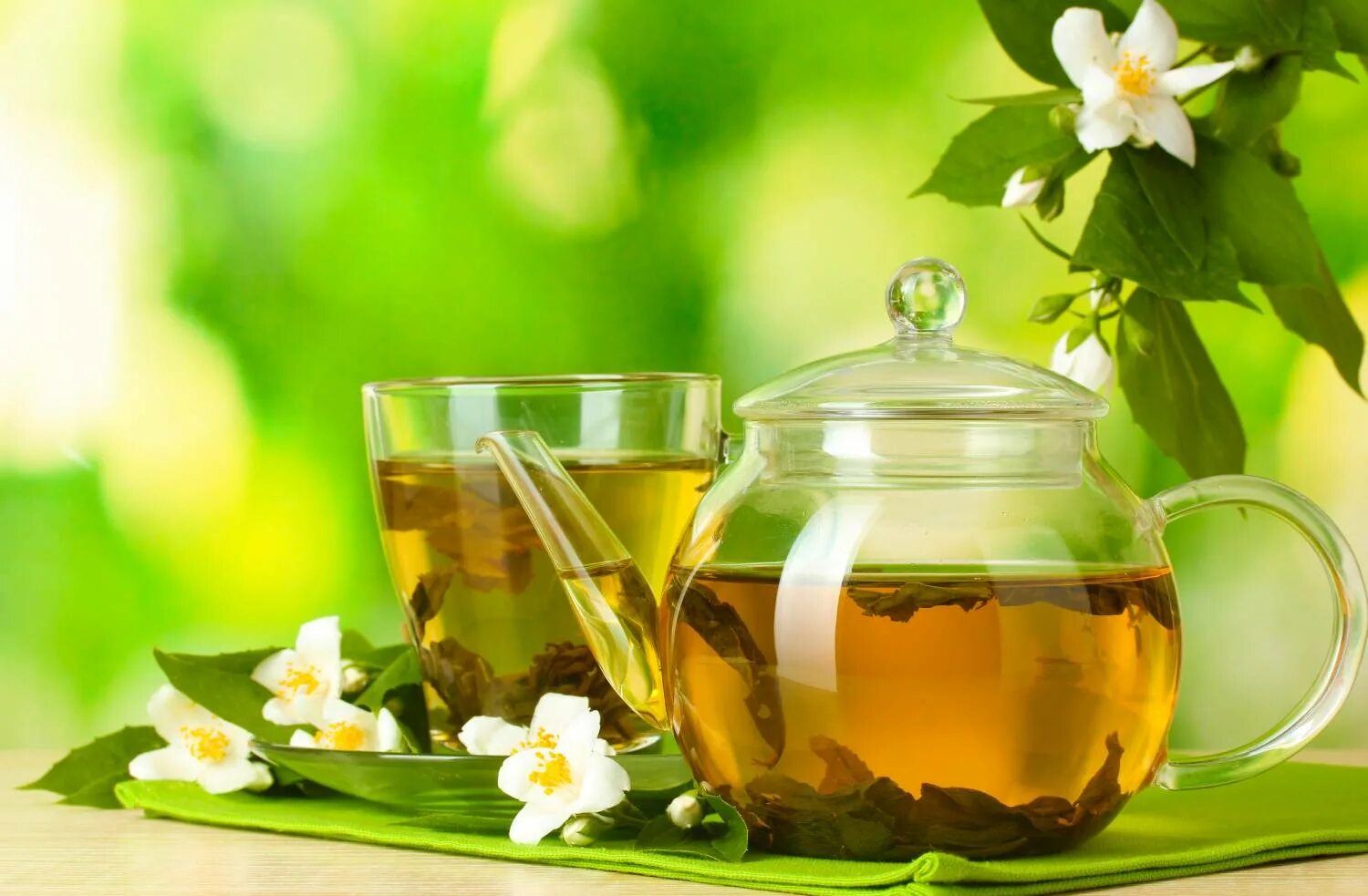 Чай от которого пьянеешь. Зеленый чай. Чашка зеленого чая. Травяной настой. Травяной чай в чашке.