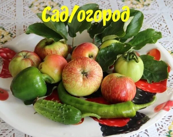 Яблоки и бананы. Помидоры огурцы яблоки и груши. Помидоры огурцы яблоки и груши. Помидоры огурцы яблоки. Овощи на столе.