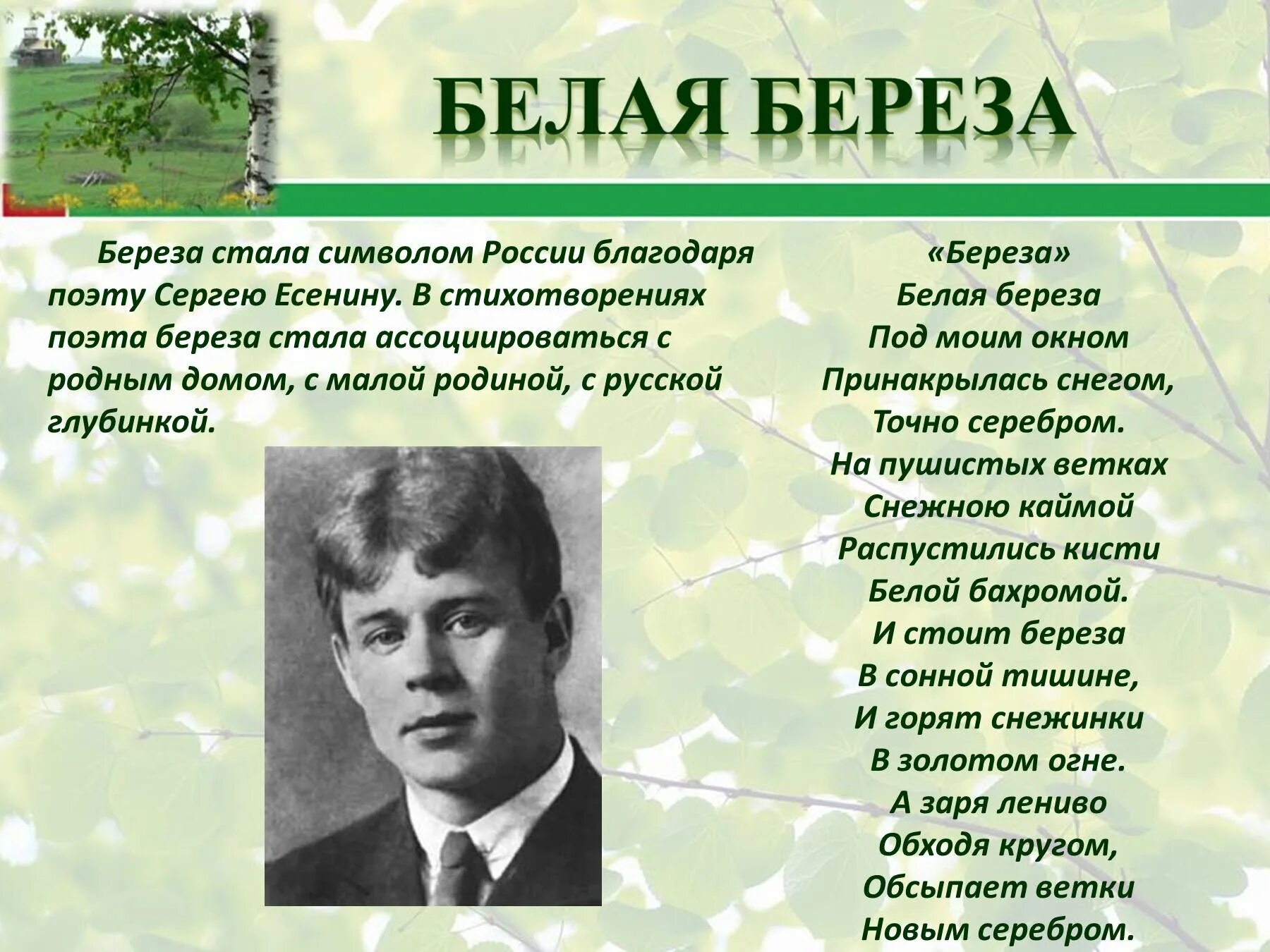 Произведения посвященные родине. Стихи Есенина о России. Стихи Есенина о родине. Есенин стихи о родине. Есенин стихи о России о родине.