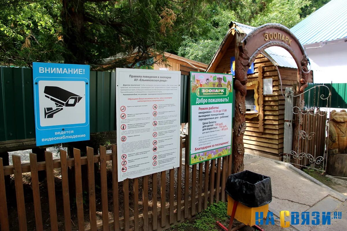 Зоопарк в роще. Зоопарк в селищах. Зоопарк новочебоксарск ельниковская роща. Ельниковская роща новочебоксарск. Зоопарк новочебоксарск ельниковская роща.
