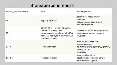 Установите соответствие характеристики и стадиями антропогенез