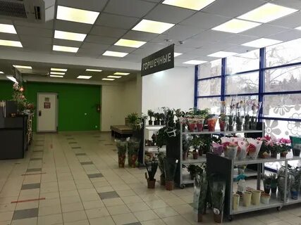 Цветы воткинск цветобаза