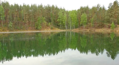 Озеро светлое нижегородская область