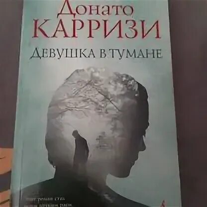 Карризи девушка в тумане аудиокнига