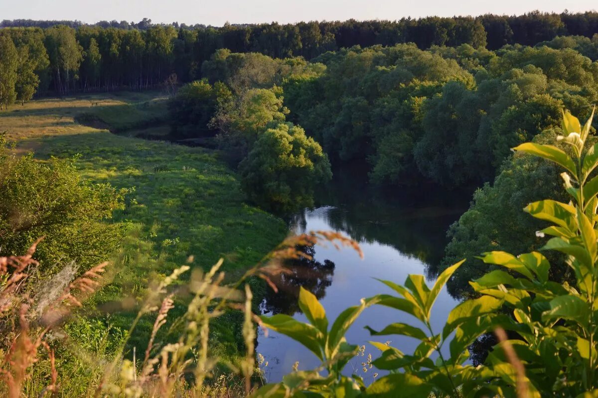 Ручеек в лесу. Какую речку перешли. Какую речку перешли. Какую речку перешли. Переправа по бревну.