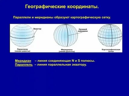 Вертикальные линии соединяющие полюса