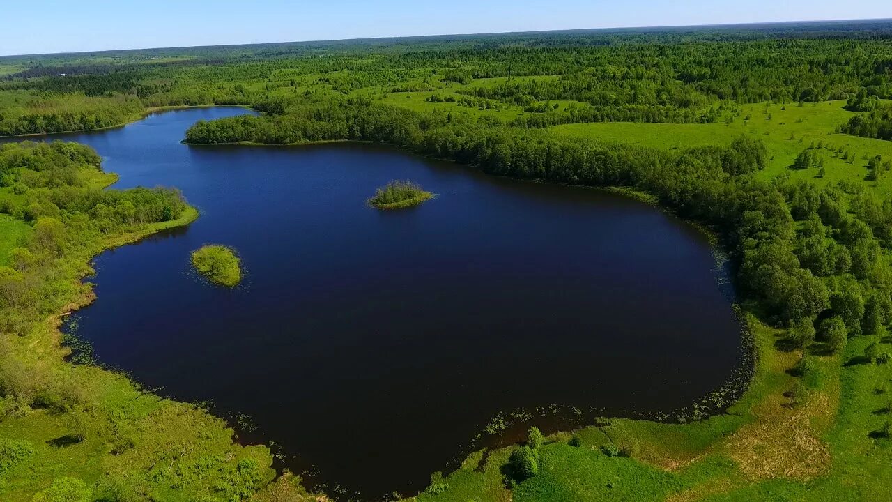 Озеро коробожа новгородская область. Мошенское медовец. Озеро карабожа мошенское. Воротово деревня новгородская область. Мошенское озеро.