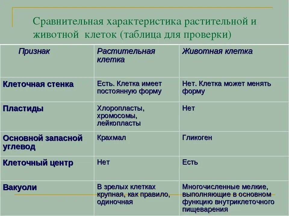 Таблица по биологии сравнение строения клеток растений и животных. Сравнение растительной и животной клетки таблица 5 класс биология. Сравнение строения клеток растений и животных таблица. Таблица признаки растительная клетка животная клетка. Сходство и различие бактерий и растений