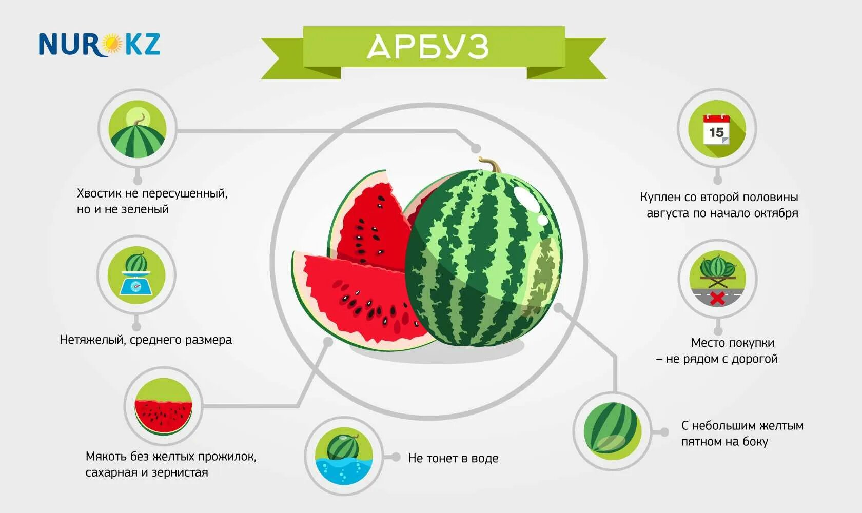 Можно ли арбуз после. Как выбрать Арбуз. Как выбрать Арбуз инфографика. Арбуз инфографика. Арбуз спелый и сладкий.