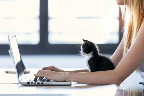 Capcat для компьютера