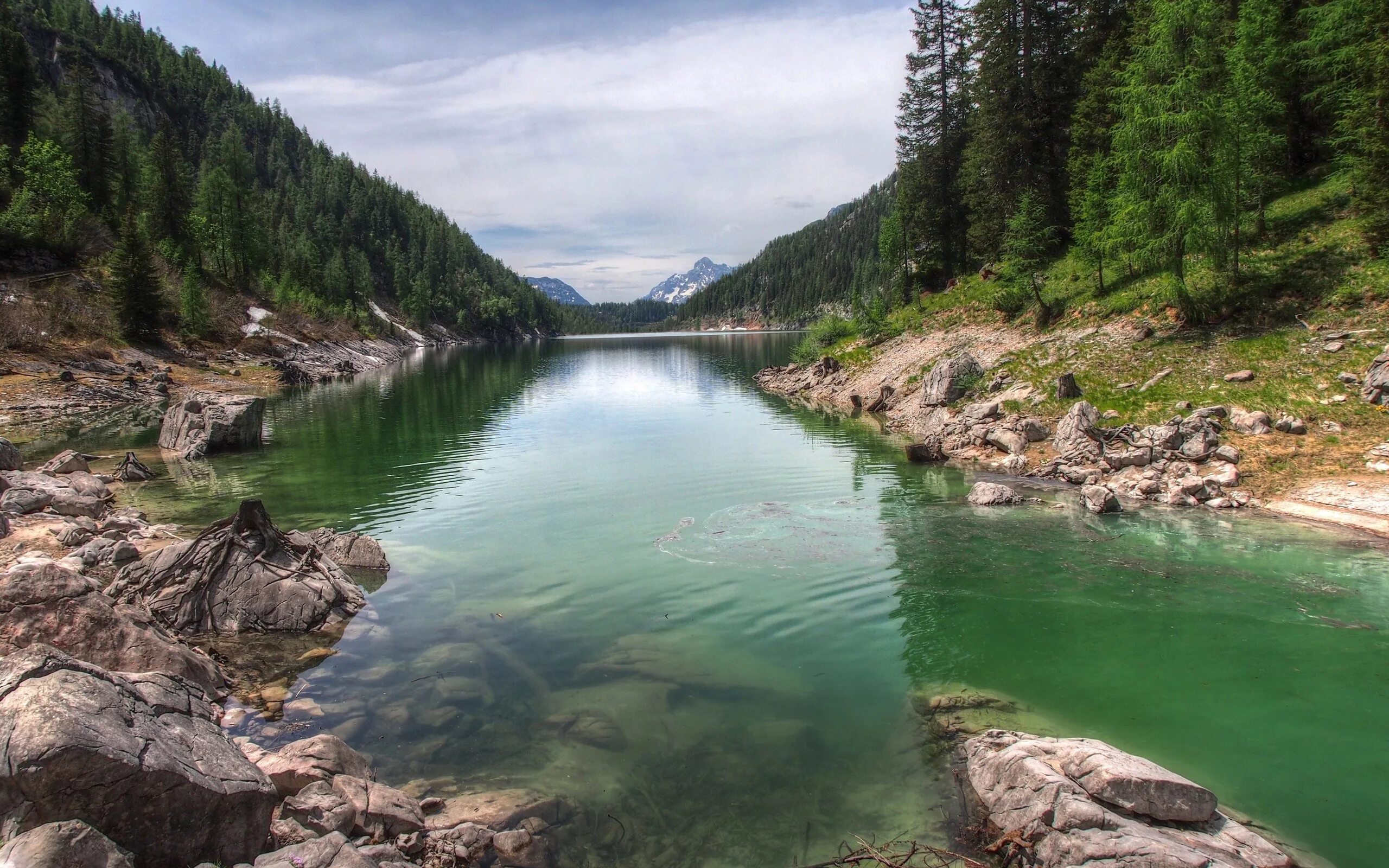 Реки и озера интересно. Алтай Катунь. Алтай Катунь лето. Катунь фото. Река Абакан.