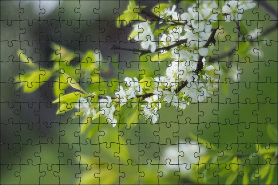 Весенние листочки Plants, Garden