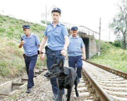 Вневедомственная охрана форма ждт. Охрана ждт форма. Военизированная охрана. Фгп во ждт россии. Ведомственная охрана ржд.