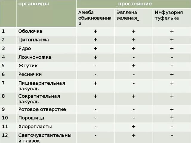 Сравнительная таблица простейших. Строение эвглены зеленой и инфузории туфельки. Сходство и различие простейших. Таблица амеба инфузория. Простейшие сходства и различия