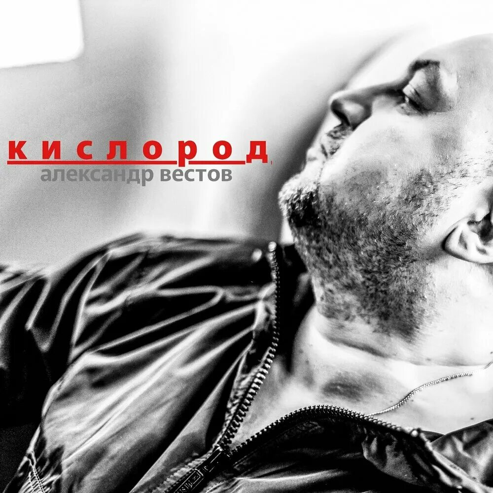 Вестов (9 штук). Вестов кометы. Вестов кометы. Комета запад 1976. Семья вестов.