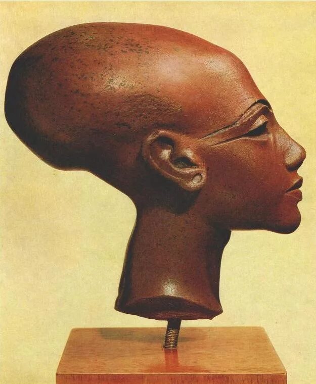 деформация черепов паракас. фараон тутанхамон череп. вытянутая форма черепа. эхнатон фараон египта череп. вытянутая форма черепа.